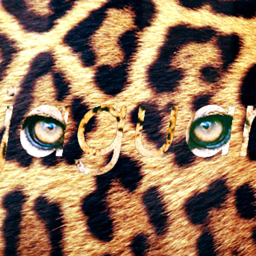 Dinamarca - Jaguar