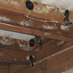 External  sound new editing by Rizal Swiflet smd