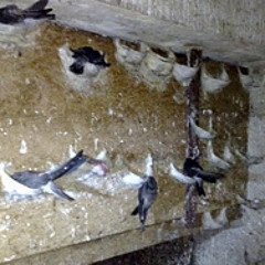 External special editing