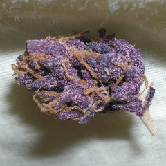 Jokes On You - MiLLZ (Official Teaser)