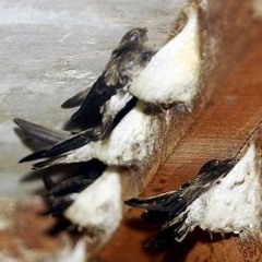 Inap Super Special Samarinda