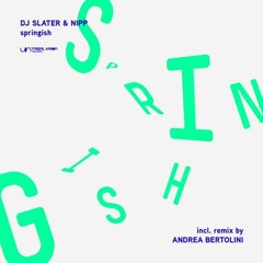 DJ Slater & Nipp - Springish (Andrea Bertolini Remix)