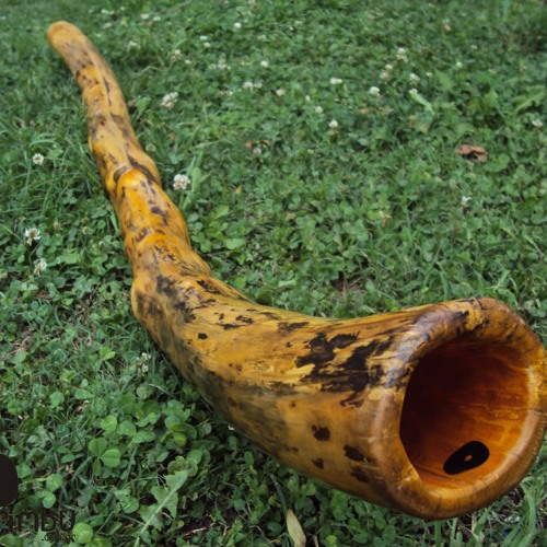Stream (3) Sound Sample Didgeridoo de Alamo Blanco E key (nota MI