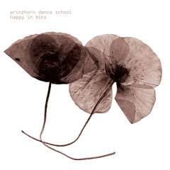 Prinzhorn Dance School - Happy In Bits