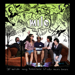 Milo - I wish my brother Rob was here - 11 DAVID FOSTER WALLACE