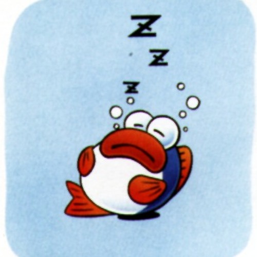 The Good, The Bad, And The Sleeping Miniature Fish - MarciaMars vs Rui Rocha