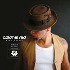 Colonel Red - Rain A Fall ( Dnte remix)