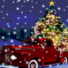 Police stopped my car