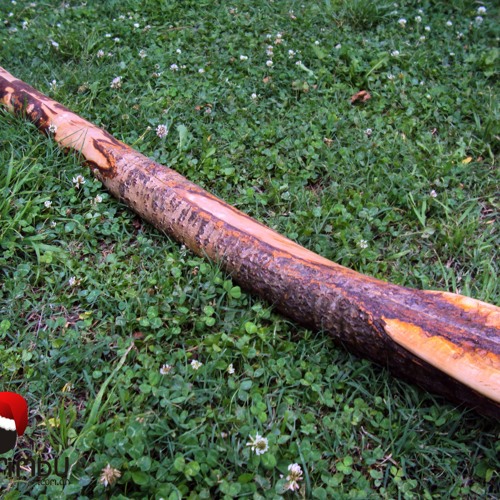 Stream (4) Sound Sample Didgeridoo de Alamo Blanco Drone E Overtones F, D by Didgerimbu