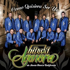 Banda Agavera - Total ya se fue