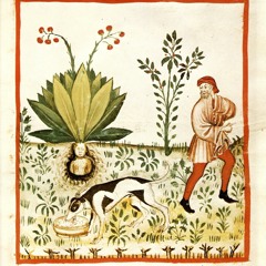 Mauro Lanza - "Erba Nera Che Cresci Segno Nero Tu Vivi" (2001)