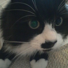 Archie bell & the drells - i can't get enough of your love - simple pleasures more than enough edit