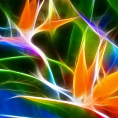 Daniel Che pres. Deep Sensations F (60min Vinyl Edition)