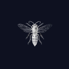 Aftermidnight and Tomjuno - Swarms