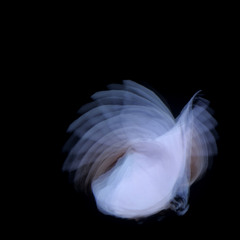 WELCOME HIGH FREQUENCY SPIRITS UNITED