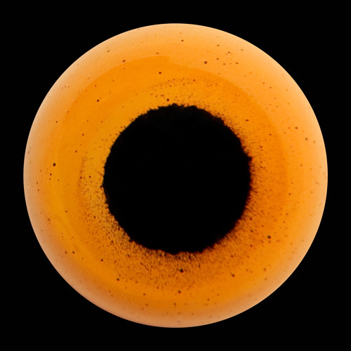 Blixaboy - Daywalkers