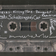 Schrödinger's Cat--continuous mix--PART 2