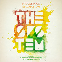 Miguel Migs - The System feat. Capleton (Rob Garza Remix)