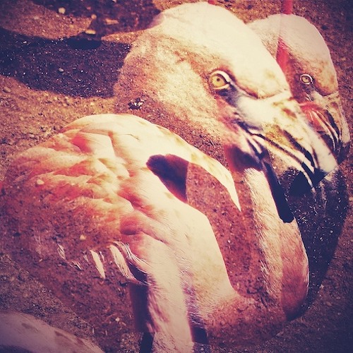 Backwords - Rhythm and Rain