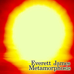Shot Through The Heart - Everett James