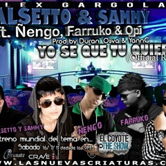 Yo Se Que Tu Quieres (Official Remix) [Ft. FalsettoYSammy, Farruko Y Nengo]