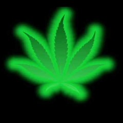 Hits from the Bong - Heyoka&Cypress Hill  (Rendition MASHUP)