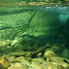 Sea,underwater waves, underwater recording