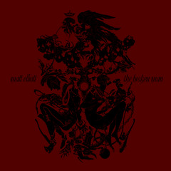 Matt Elliott / Dust Flesh and Bones