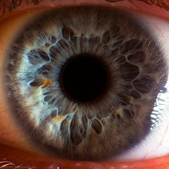 Eyetalk