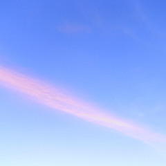 Your Smile :君の笑顔