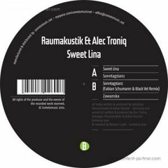 *Preview* RAUMAKUSTIK &amp; Alec Troniq - Sonntagstanz (T.S.B.i.N.-Remix)