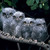 Artwork for The Four Owls - All My Life