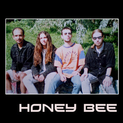 Honey bee live in st.33 - 98
