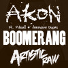 DJ Felli Fel feat. Akon, Pitbull & Jermaine Dupri - Boomerang (Artistic Raw Bootleg)
