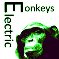 Electric Monkeys - Hintereingang