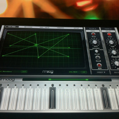 Do You Hear What I Hear? (Animoog)