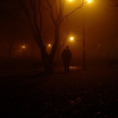 Midnight Run
