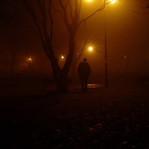 Midnight Run