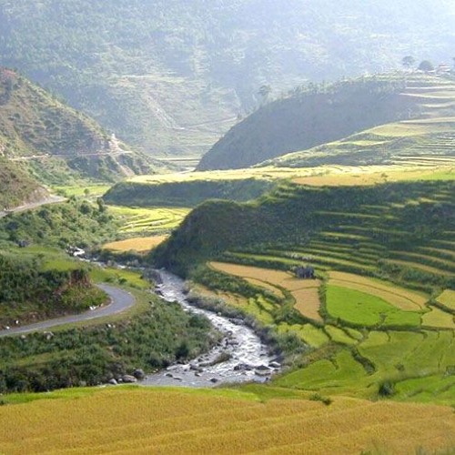 Gurma