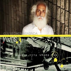 Suavi - Yalı Capkını