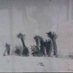 Pictures of you The Cure