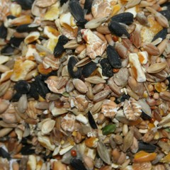 Michael Holland - BTGSTDMIX