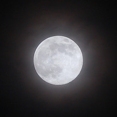 Ouroboros: Frost Moon - at The Flopera House (2011-12-09)