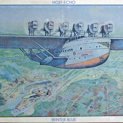 Night Owls (Winter Blue by Host Echo)