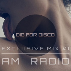 DIG FOR DISCO EXCLUSIVE MIX #1: AM RADIO