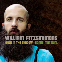 William Fitzsimmons - Gold In Shadow