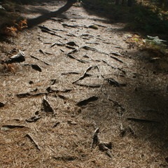 Everything u do .. (Mix)