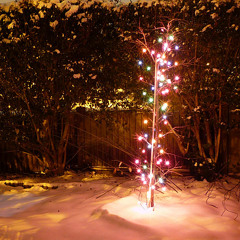 Silent Night