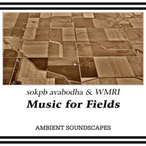 Music for Fields (feat. WMRI) [album sampler]
