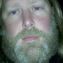 larrivee Meets Ovation